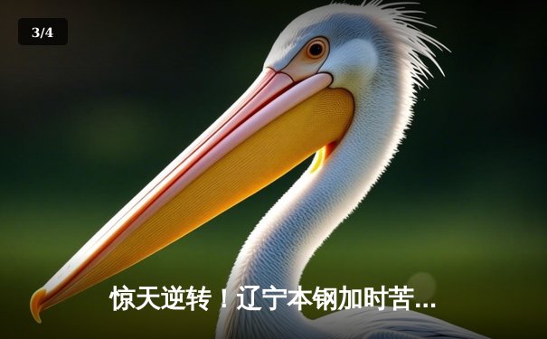 惊天逆转！辽宁本钢加时苦战击败广东东莞大益，总决赛悬念再起 - 3